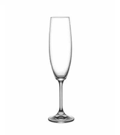 SET X6 COPAS DE CHAMPAGNE